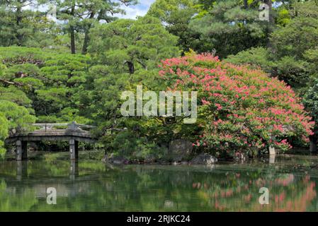Brige and trees around a pond at the Imperial Palace Gardens in Kyoto, Japan. Stockfoto