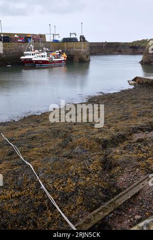 Fischerboote im Hafen von St. Abbs Stockfoto