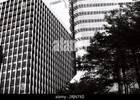 Ein Schwarzweißfoto einer weitläufigen Skyline mit hohen Gebäuden und Bäumen im Vordergrund Stockfoto