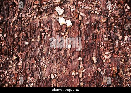 Ein hochauflösendes Bild einer Holzoberfläche mit einer satten, tiefbraunen Farbe und einer komplexen, strukturierten Oberfläche Stockfoto