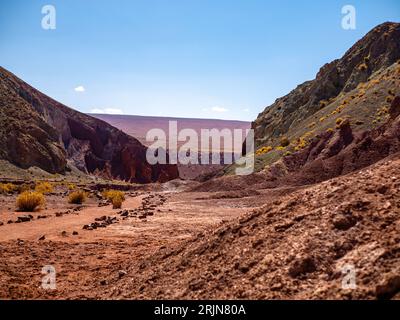 Eine weitläufige Landschaft mit einer Wüstengegend mit gelben Wildblumen im Valle del Arcoiris, San Pedro Stockfoto