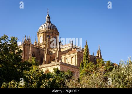 Neue Kathedrale von Salamanca (Catedral Nueva) und Catedral Vieja de Santa Maria Gebäude mit dekorativer Fassade mit Türmen, Türmen und Kuppel. Stockfoto