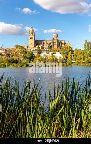 Neue Kathedrale von Salamanca (Catedral Nueva) und Catedral Vieja de Santa Maria de la Sede de Salamanca Gebäude, Sommerblick mit grünem Gras und Fluss Stockfoto