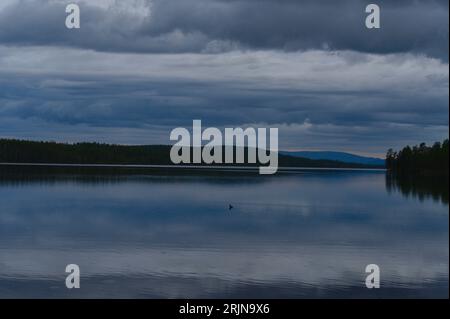 Blaue Stunde Gelassenheit auf einem ruhigen See mit einsamer Ente in der Abenddämmerung, Silhouette des Waldes und Berge im Hintergrund mit Wolkenlandschaft in der Abenddämmerung Stockfoto