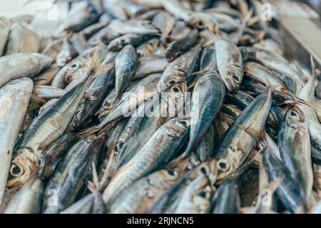 Eine Nahaufnahme von kleinen Fischen auf dem Tisch zum Verkauf Stockfoto
