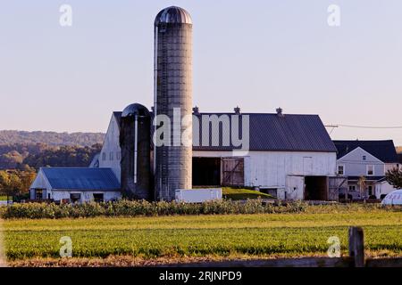 Ein ländlicher Bauernhof mit einer alten Holzscheune im Hintergrund Stockfoto