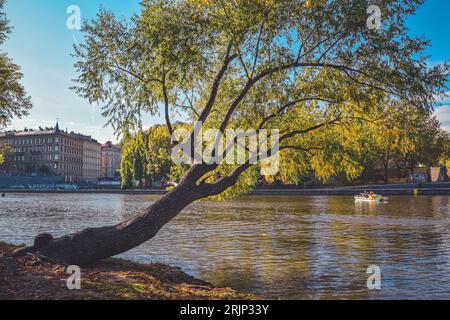 Herbst auf einer Insel Strelecky, Prag, Tschechische Republik Stockfoto