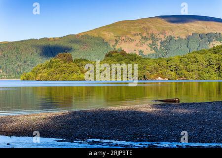 Schöne Reflexionen in einem ruhigen See umgeben von Bergen (Loch Lomond, Schottland) Stockfoto