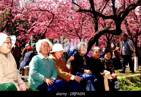 Bildnummer: 51135801 Datum: 04.03.2006 Copyright: imago/Xinhua Seniorinnen erfreuen sich an der Kirschblüte in Kunming - PUBLICATIONxNOTxINxCHN, Personen; 2006, Kunming, Jahreszeit, Frühjahr, Land, Leute, Einheimischer, Einheimische, Chinesisch, Chinesen, Chinesin, Kirschbaum, Kirschbäume, Baumblüte, Baumblüten, Kirschblüte, Kirschbaumblüte, Kirschbaumblüten, , , , , , Senior, Seniorin, Senioren, Alte, Rentner, Frau; , quer, Kbdig, Gruppenbild, China, / optimistisch, Frauen, Alter Stockfoto