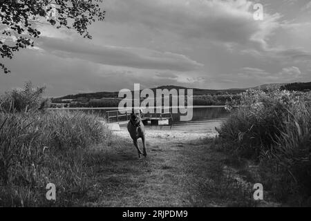 Lipno Dam 1, Tschechische Republik, Sonnenuntergang schwarz und weiß Stockfoto