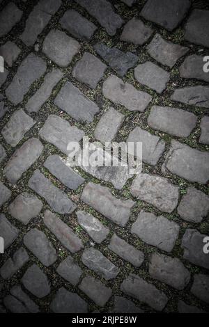 Original paving in the historical part of Prague, Czech Republic Stock Photo