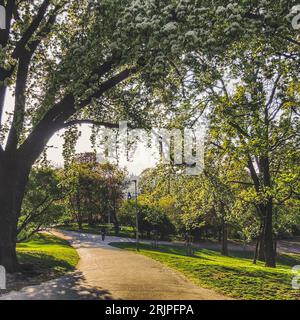 Blick vom Park auf die Prager Burg, Tschechische Republik Stockfoto