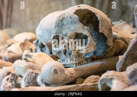 In der Krypta der St. Leonard's Church in Hythe, England, sind eine Reihe von menschlichen Schädeln und Knochen ausgestellt Stockfoto