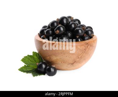 Reife schwarze Johannisbeeren und auf weiß isolierte Blätter Stockfoto