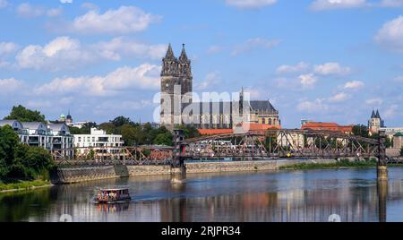 23. August 2023, Sachsen-Anhalt, Magdeburg: Schönwetterwolken ziehen über den Dom und die Häuser Magdeburgs. Es ist nach wie vor sommerlich in der Hauptstadt Sachsen-Anhalts. Nach dem schwülen und heißen Wetter in Teilen Deutschlands ist nun ein Wetterwechsel mit der Möglichkeit von Gewittern in Sicht. „Die Hitzetage sind im Zentrum und Süden Deutschlands nummeriert“, sagte ein Meteorologe des Deutschen Wetterdienstes (DWD) in Offenbach am Mittwoch. „Bereits am Donnerstag ändert sich die Wetterlage, sie wird wieder deutlich wechselhafter sein und allmählich deutlich kühler werden Stockfoto