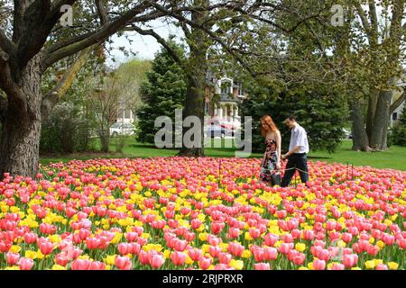 Bildnummer: 51230758 Datum: 06.05.2006 Copyright: imago/Xinhua Junges Pärchen läuft durch ein Tulpenfeld in einem Park anlässlich des jährlich stattfindenden Tulpenfestes in Ottawa - PUBLICATIONxNOTxINxCHN, Personen , Landschaft; 2006, Ottawa, Tulpenfest, Einheimische, Einheimische, Kanadier, Kanadierin, Land, Leute , Tulpenfelder, Tulpe, Tulpen, Blume, Blumen, Blumenfeld, Blumenfelder, Paar, Paare, Parks, Parkanlage, Parkanlagen; , quer, Kbdig, Totale, Kanada, , Stockfoto