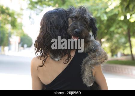 Eine junge Frau, die einen gemütlichen Spaziergang durch einen Park macht und einen Schnauzer-Hund auf dem Rücken trägt Stockfoto