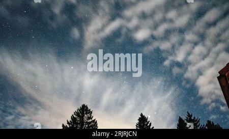 Ein Nachthimmel voller flauschiger Wolken, die von Sternenlicht beleuchtet werden. Stockfoto