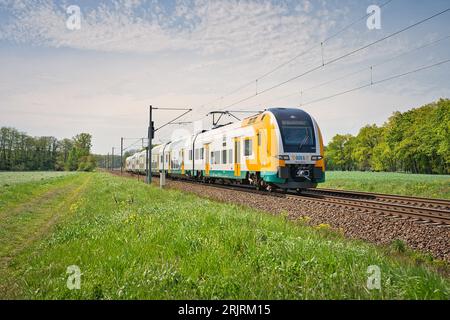 Eine landschaftlich reizvolle Aufnahme eines Zuges, der auf einer Strecke in Groß-Kreutz fährt, mit üppigem grünem Gras im Vordergrund Stockfoto