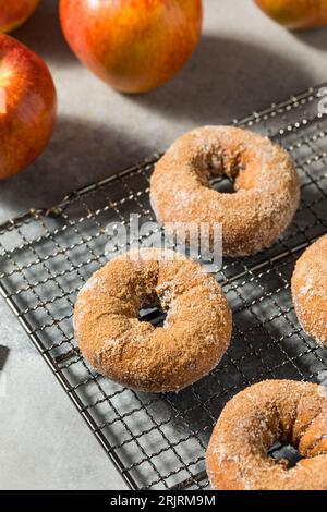 Süße hausgemachte ApfeljägerDonuts mit Zimt und Zucker Stockfoto