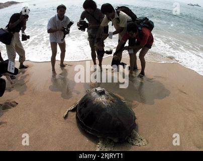 Bildnummer: 51516718 Datum: 23.10.2006 Copyright: imago/Xinhua Wasserschildkröte mit einem Peilsender wird am Strand von Fotografen umlagert in Huidong - PUBLICATIONxNOTxINxCHN, Tiere , Personen , Silhouette; 2006, Huidong, Guangdong, Reptilien, Wasserschildkröte, Wasserschildkröten, Schildkröte, Schildkröten, Freilassung, Umweltschutz, Tierschutz, Presse, Medien, Medieninteresse, Mann, Männer, Sender,; , quer, Kbdig, Gruppenbild, Meer, Küste, China, Arbeitswelten, Gesellschaft, , Stockfoto