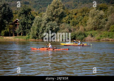 Serbien, 04. August 2023: Die Teilnehmer der TOUR INTERNATIONAL DANUBIEN (TID) Regatta (Quelle der Donau-Schwarzes Meer) passieren eine Etappe Veliko Selo Stockfoto