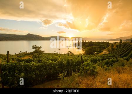 Ein malerischer Sonnenuntergang über den Weinbergen von Naramata Bench und dem Okanagan Lake, BC, Kanada Stockfoto