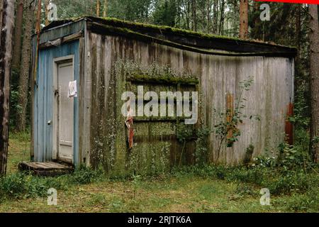 Alte Scheune im Wald, bedeckt mit Moos und Flechten Stockfoto