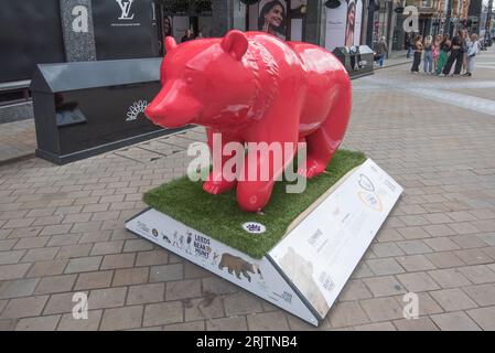 Leeds Bear Hunt , Wild In Art & Leeds Hospital Charity Stockfoto