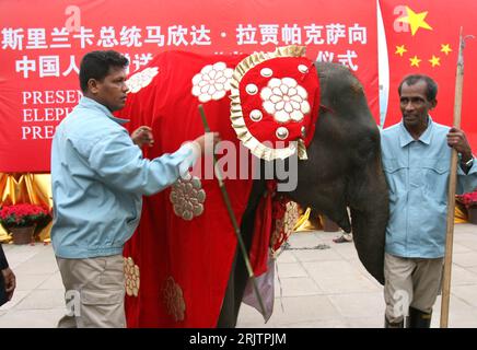 Bildnummer: 51745116 Datum: 26.02.2007 Copyright: imago/Xinhua Dresseure neben Elefant Migara im Zoo von Peking - der Elefant ist ein Geschenk von Sri Lanka an China - PUBLICATIONxNOTxINxCHN , Personen , Tiere; 2007, Peking, Elefant, Elefanten, Säugetiere; , quer, Kbdig, Gruppenbild, China, Bildnummer 51745116 Datum 26 02 2007 Copyright Imago XINHUA Ihr Kleid neben Elefant Migara im Zoo von Peking der Elefant ist ein Geschenk aus Sri Lanka an China PUBLICATIONxNOTxINxCHN People Animals 2007 Peking Elefanten Säugetiere horizontale Kbdig Group Foto China Stockfoto