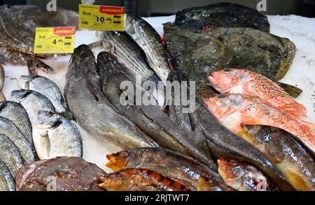 Frische Fischtheke im Supermarkt Pingo Doce, mit Garnelen und Fisch auf Crushed Ice Stockfoto
