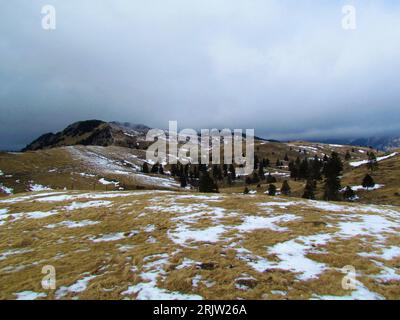 Meadow at Big Pature Plateau or Velika planina in Slovenia in winter Stock Photo