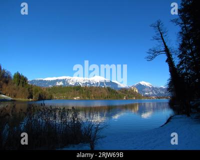 Blick auf den See Bled mit einem bewaldeten Hügel im Rücken und einem schneebedeckten Gipfel der Karawanken mit Stol in der Mitte der Gorenjska Region Slo Stockfoto