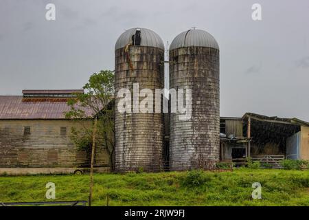 Zwei Silos und eine Scheune sind von der Straße im ländlichen Greene County in Tennessee aus zu sehen Stockfoto