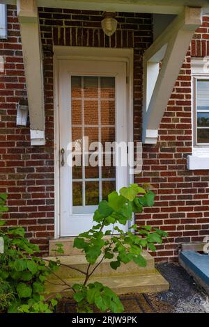 A small tree grows from a welcome mat in front of an abandoned building entrance. Stock Photo