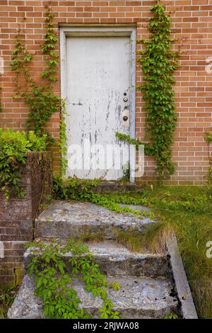 Nahaufnahme der Stufen, die zu einer Tür eines Ziegelgebäudes führen, die Farbablösung der Tür des vernachlässigten Gebäudes. Stockfoto