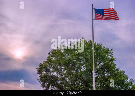 Die amerikanische Flagge weht im Wind über einem Baum unter bewölktem Abendhimmel in Bristol, Virginia. Stockfoto