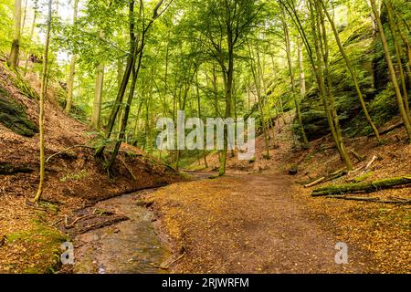 Sommerwanderung durch die Drachenschlucht bei Eisenach - Thüringen - Deutschland Stockfoto