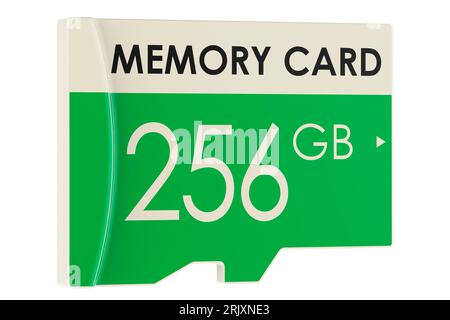 Speicherkarte, 256 GB. 3D-Rendering isoliert auf weißem Hintergrund Stockfoto