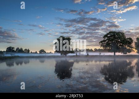 Gespenstischer Nebel schwebt über Teichen im Bushy Park in Surrey UK Stockfoto