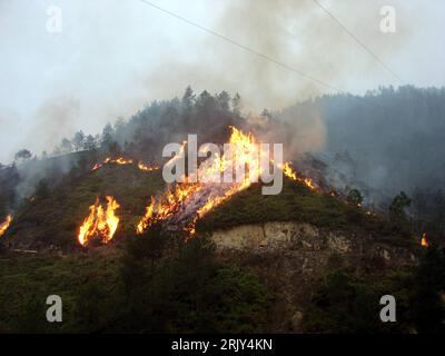 Bildnummer: 52444103 Datum: 06.03.2008 Copyright: imago/Xinhua Waldbrand in Gaoqiao - Guizhou - China - PUBLICATIONxNOTxINxCHN, Landschaft , premiumd; 2008, Gaoqiao , Tongzi , Guizhou , China, Waldbrand, Waldbrände, Wald, Wälder, Brand, Brände, Feuer, Flamme, Flammen, Branding, Brennen, Rauch, Qualm, Katastrophe, Katastrophe, Naturkatastrophe, Naturkatastrophen; , quer, Kbdig, total, , - Asien Stockfoto