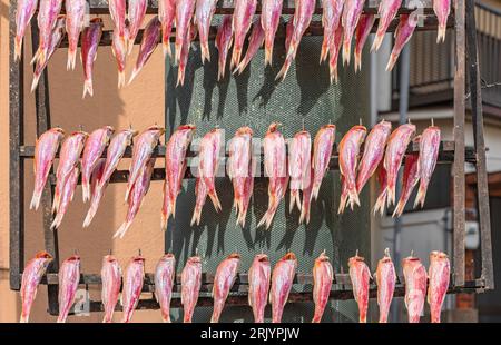 Rosafarbener japanischer mullus-ähnlicher Fisch hing auf einer Straße in Nagasakis Chinatown an den rostigen Nägeln einer hölzernen Fischflockenplattform, die sie zum Trocknen verwendete Stockfoto