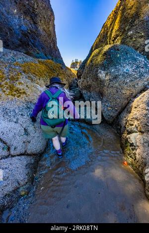 Erkunden Sie die Gezeitenbecken und die wellenerodierten Brekzienformationen von Point of Arches bei Ebbe, Olympic National Park, Washington State, USA Stockfoto