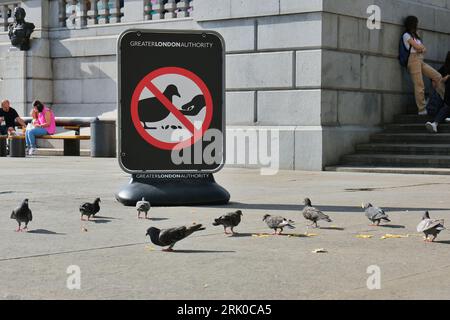 London, Großbritannien. Tauben (Columba Livia) ernähren sich von weggeworfenen Lebensmitteln vor einem Schild, das die Öffentlichkeit auffordert, dies auf dem Trafalgar Square nicht zu tun. Stockfoto