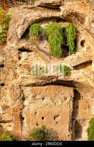 Ruins of the Domus Augusti on the Palatine Hill, Rome, Italy Stock Photo