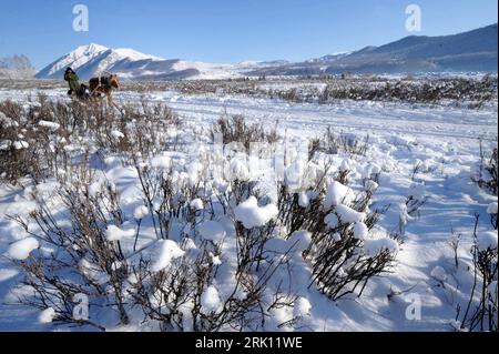 Bildnummer: 52835458  Datum: 04.01.2009  Copyright: imago/Xinhua Mann mit Pferdeschlitten in der Winterlandschaft bei Hemu in Burqin in der autonomen Region Xinjiang Uygur in China - PUBLICATIONxNOTxINxCHN, Personen , Tiere , Landschaft; 2009, Hemu, Burqin, Xinjiang Uygur, China, Schlitten, Pferd, Schnee, Kälte, Wetter; , quer, Kbdig, Winter, Jahreszeit, Totale,  , Reisen, Asien    Bildnummer 52835458 Date 04 01 2009 Copyright Imago XINHUA Man with Horse-drawn sleigh in the Winter landscape at Hemu in Burqin in the Autonomous Region Xinjiang Uygur in China PUBLICATIONxNOTxINxCHN People Animals Stock Photo