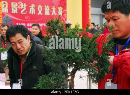 Bildnummer: 52921942 Datum: 07.03.2009 Copyright: imago/Xinhua Besucher betrachten eine Bonsai-Pinie während einer Pflanzenschau in Bengbu - China - PUBLICATIONxNOTxINxCHN, Personen , Pflanzen; 2009, Bengbu, Anhui, China, Baum, Miniatur, Ausstellung; , quer, Kbdig, Gruppenbild, Close, , Asien Bildnummer 52921942 Datum 07 03 2009 Copyright Imago XINHUA Besucher in einer Bonsai Kiefer während einer Pflanzenbewertung in Bengbu China PUBLICATIONxNOTxINxCHN People Plants 2009 Bengbu Anhui China Baum Miniatur Ausstellung horizontale Kbdig Group Foto Close Asia Stockfoto