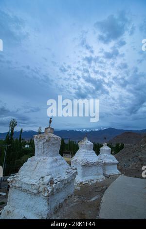 Viele weiße Stupas in einer Reihe auf einem Berg mit blauem Himmel im Hintergrund Stockfoto