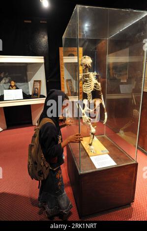 Bildnummer: 52967420 Datum: 09.04.2009 Copyright: imago/Xinhua Junge betrachtet eine Nachbildung des Lucy Skelettes (Australopithecus afarensis) im Äthiopischen Nationalmuseum in Addis Abeba - PUBLICATIONxNOTxINxCHN, Personen , Objekte , premiumd; 2009, Addis Abeba, Äthiopien, Skelett, Museum, Exponat, Vitrine; , hoch, Kbdig, Einzelbild, , Afrika Bildnummer 52967420 Datum 09 04 2009 Copyright Imago XINHUA Boy sieht eine Nacherziehung der Lucy Skelettes Australopithecus afarensis im Äthiopischen Nationalmuseum in Addis Abeba PUBLICATIONxNOTxINxCHN People Objects Uraufführung 2009 Addis Abeba et Stockfoto