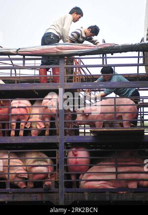 Bildnummer: 53155696  Datum: 16.03.2009  Copyright: imago/Xinhua  File photo dated on March 16, 2009 shows  loading pigs at a market in Guangzhou, south China s Guangdong Province. Wirtschaft kbdig Schweine am einer Markt in Guangzhou, Landwirtschaft, Viehzucht hoch   ie    Bildnummer 53155696 Date 16 03 2009 Copyright Imago XINHUA File Photo dated ON March 16 2009 Shows Loading Pigs AT a Market in Guangzhou South China S Guangdong Province Economy Kbdig Pigs at a Market in Guangzhou Agriculture Livestock breeding vertical ie Stock Photo